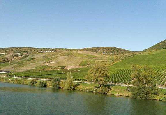 Mosellandschaft