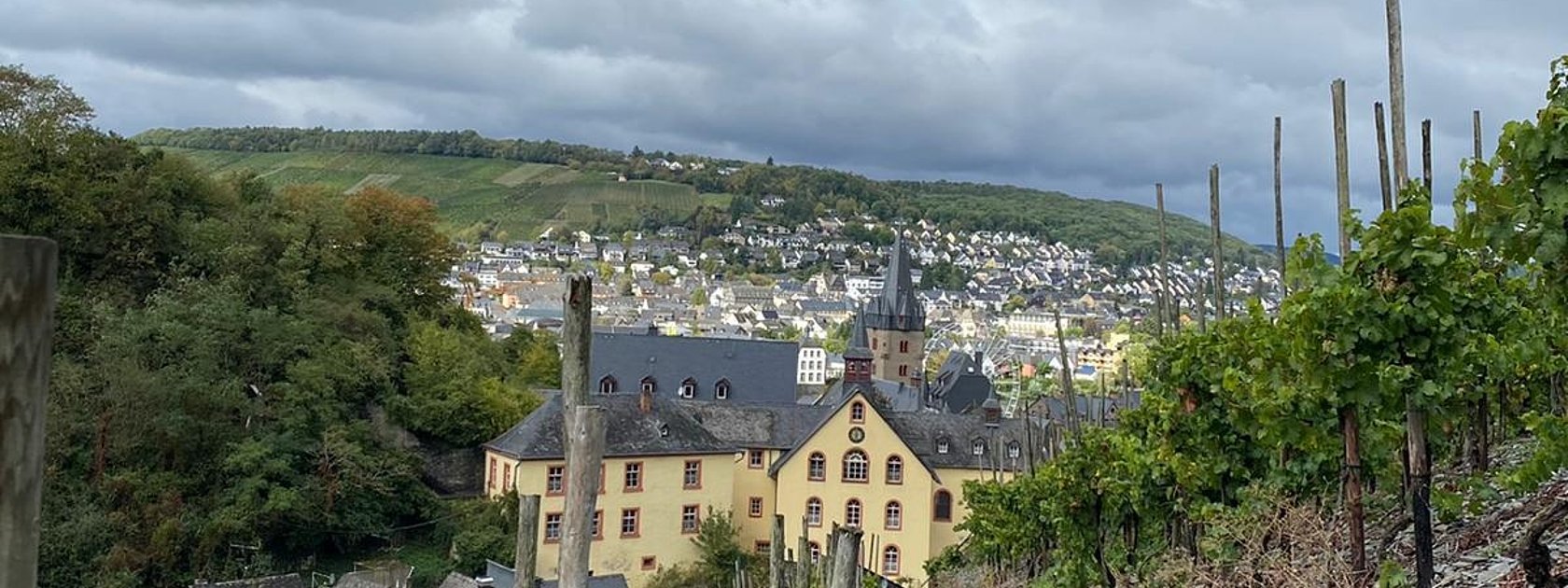 Oberhalb von Bernkastel-Kues