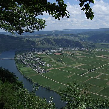 Piesport von oben