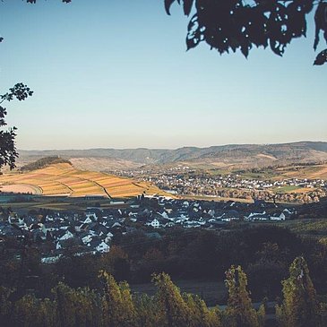 Monzel und das Moseltal