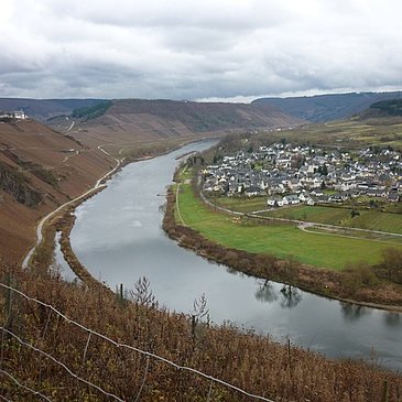 Blick von der Drieschhütte auf Pünderich und die Marienburg