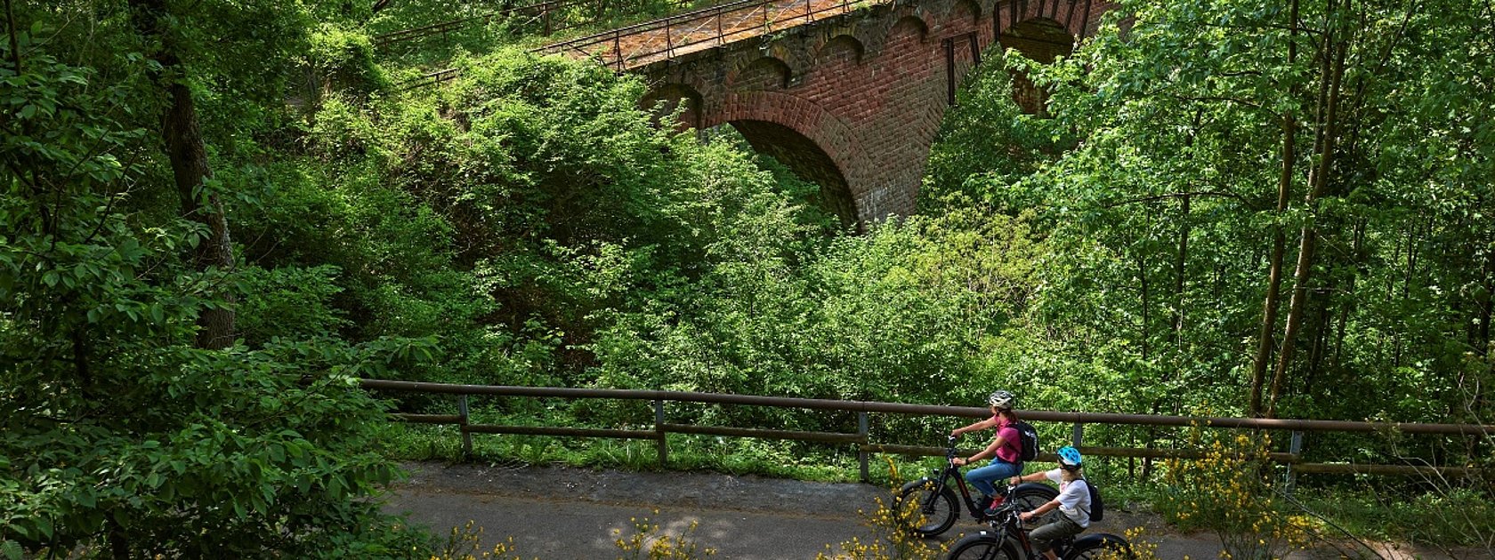 Radfahrerinnen Höhe des Wittlicher Viadukts auf dem Maare-Mosel-Radweg