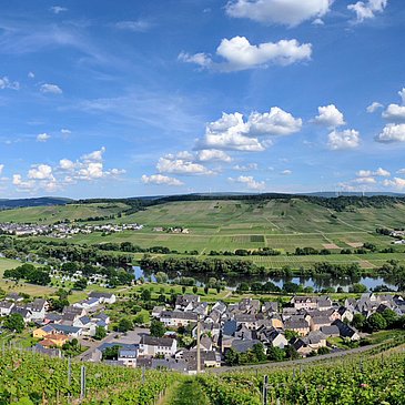 Ausblick von einem unserer Weinberge