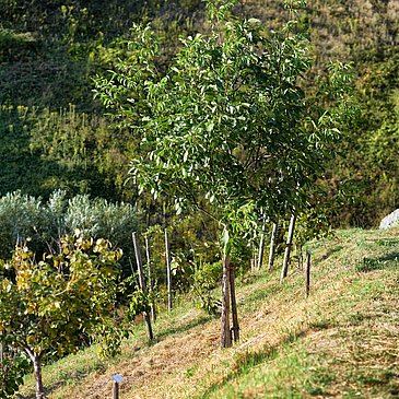 Rastmöglichkeit entlang der Strecke