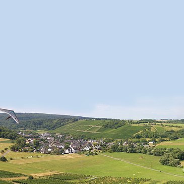 Burgen im Moselhunsrück