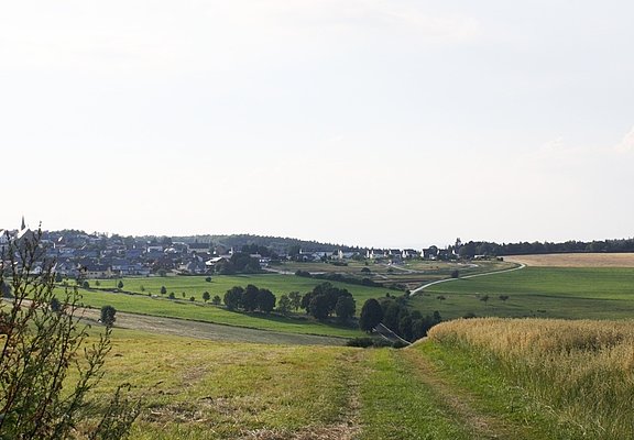 Hunsrücklandschaft bei Monzelfeld