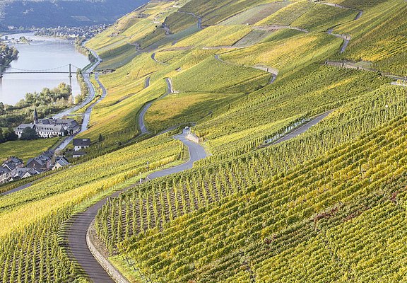 Weinberge in Graach