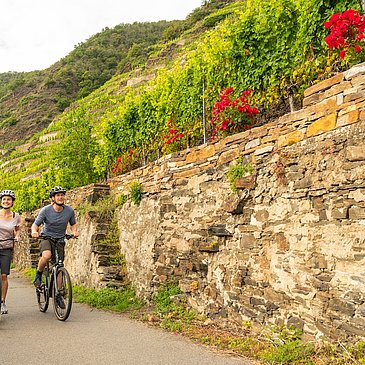 Mosel-Radweg bei Winningen
