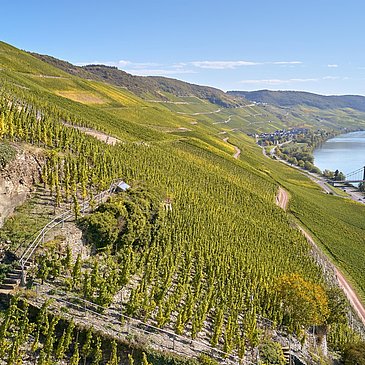 Wehlener Sonnenuhr mit Blick auf Mosel