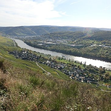 Blick aus den Weinbergen oberhalb von Graach auf Graach und Bernkastel
