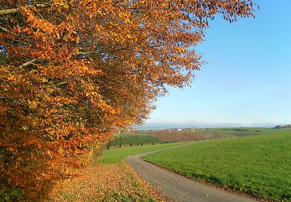 Blick auf Longkamp im Mosel-Hunsrück
