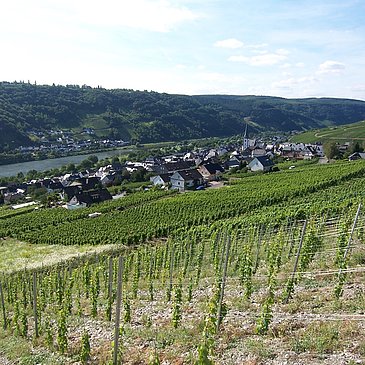 Enkirch