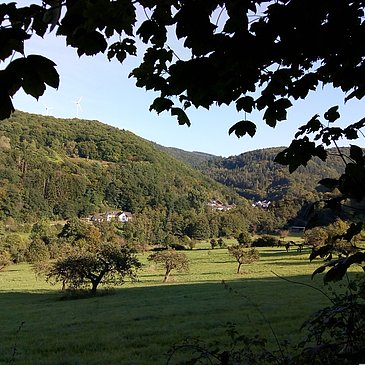das Dhrontal mit Ortsteil Papiermühle im Hintergrund