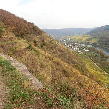 Blick vom Apolloweg in moselaufwärts Richtung Valwig
