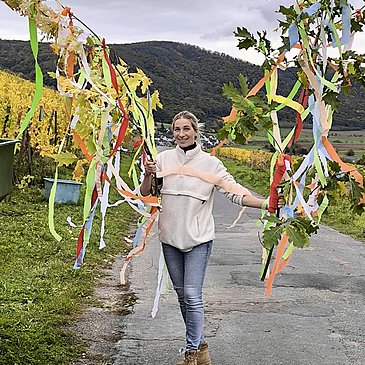 Weingut Hammes Traubenlese beendet