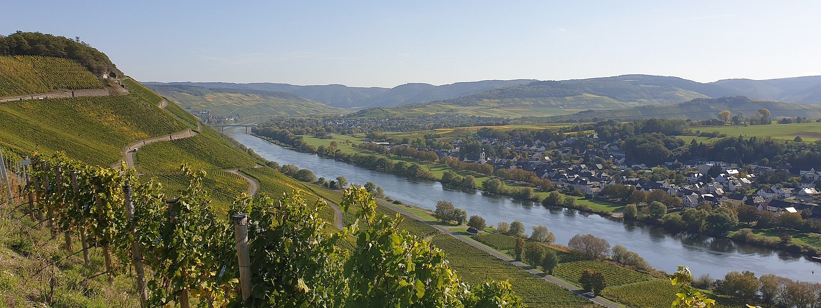 Wandern in Brauneberg