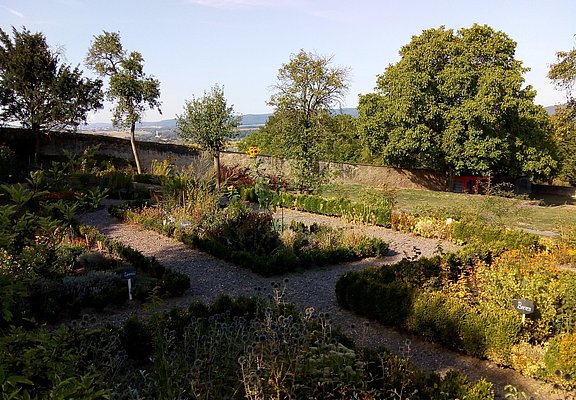 Kräutergarten beim Stellplatz