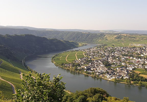 Ortschaft Piesport
