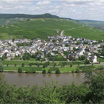 Panorama_1