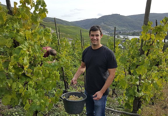 Winzer im Weinberg