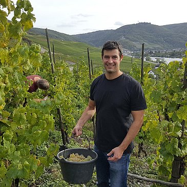 Winzer im Weinberg