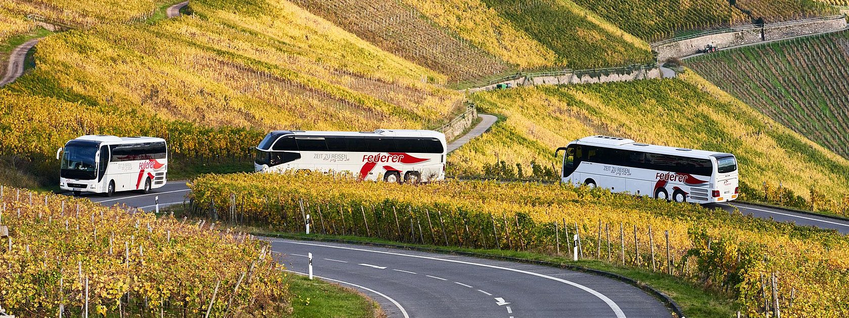 Feuerer Busse auf Fahrt an der Mosel