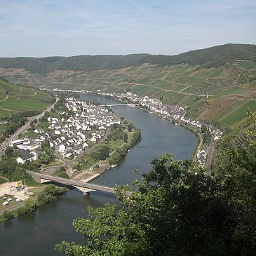 Zell: Beinter Kopf