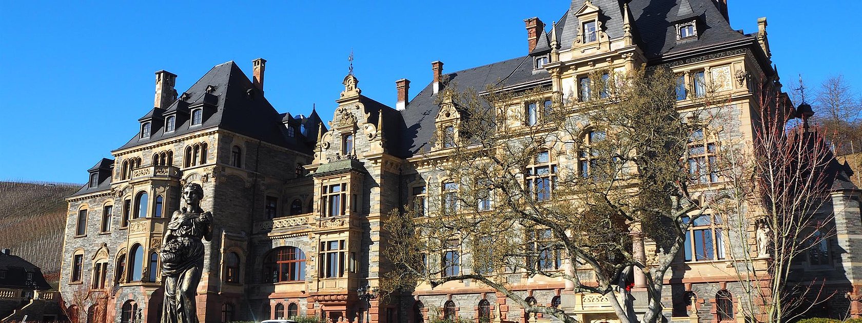 Schloss Lieser