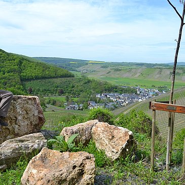 Blick auf Veldenz und den Veldenzer Kirchberg