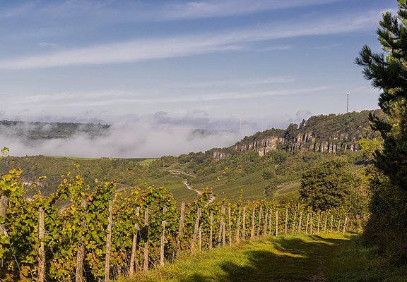 Blick aus den Weinbergen auf Nitteler Felsen