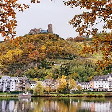 Die Burg Landshut im Herbst