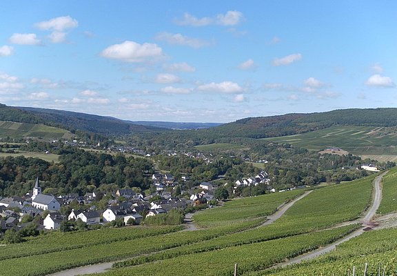 Weinort Maring-Noviand