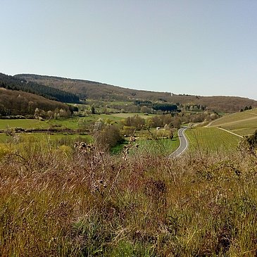 Oestelbachtal Richtung Klausen