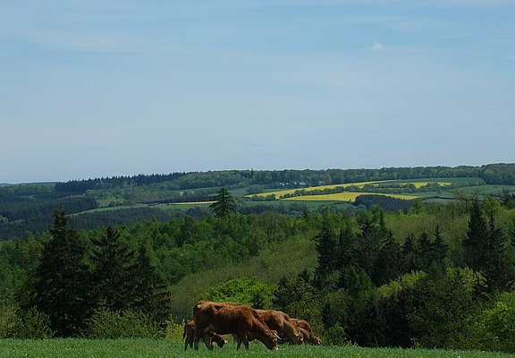 Radurlaub im Mosel-Hunsrück