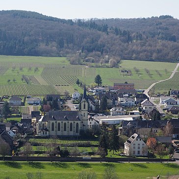 Pfarrkirche St. Vitus