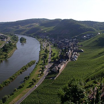 Panorama