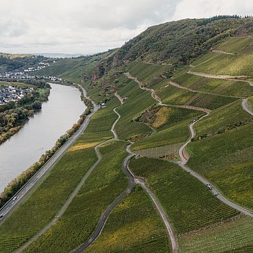 Weingut Schwaab und Sohn Weinberge