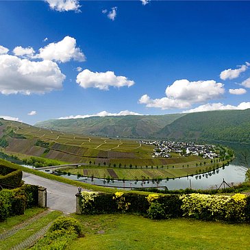Panorama