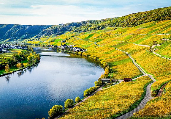Blick auf die Mosel bei schönem Herbstwetter