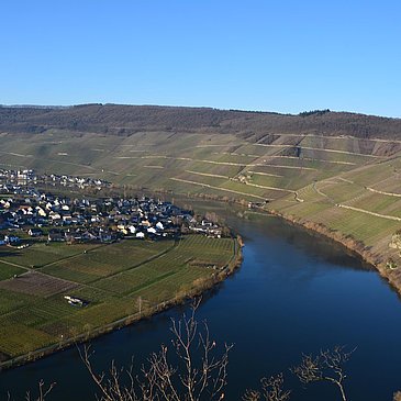 Piesport