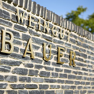 Schriftzug des Weinguts Bauer