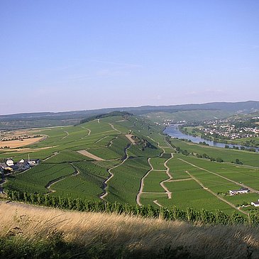 Moselblick