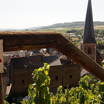 Beschilderung am Wegesrand