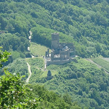 Blick auf die Burgruine Landshut