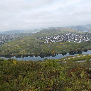 Moselschleife