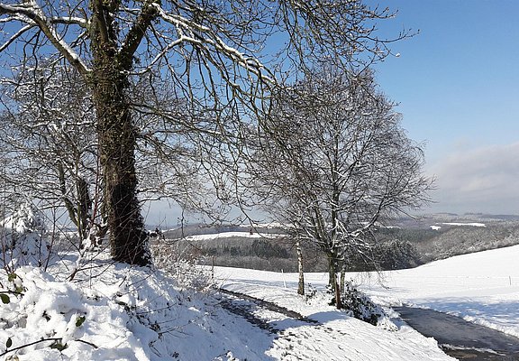 Landschaft Winter