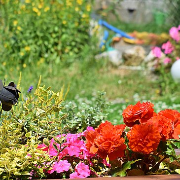 Garten