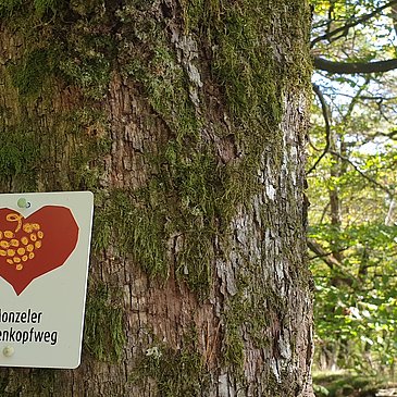 Beschilderung am Wegesrand