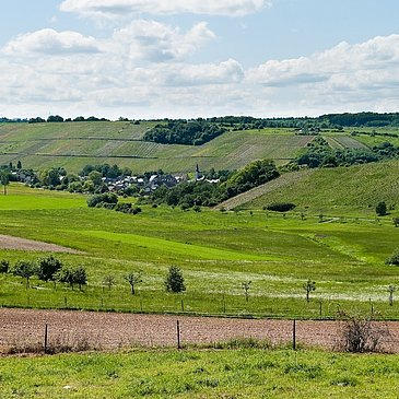 Burgen an der Mittelmosel