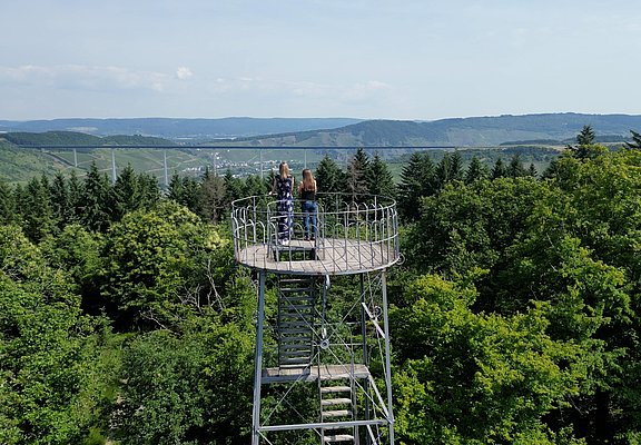 Ausblick vom Grainskopf nach Zeltingen
